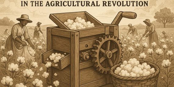 The Role of the Cotton Gin in the Agricultural Revolution